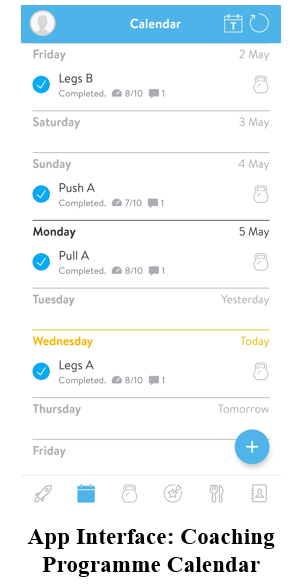 Premium One-on-One Online Fitness Coaching