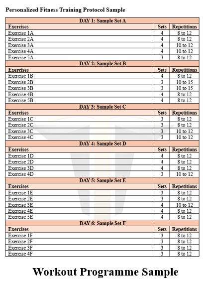 Customized Workout Programme - Built for You